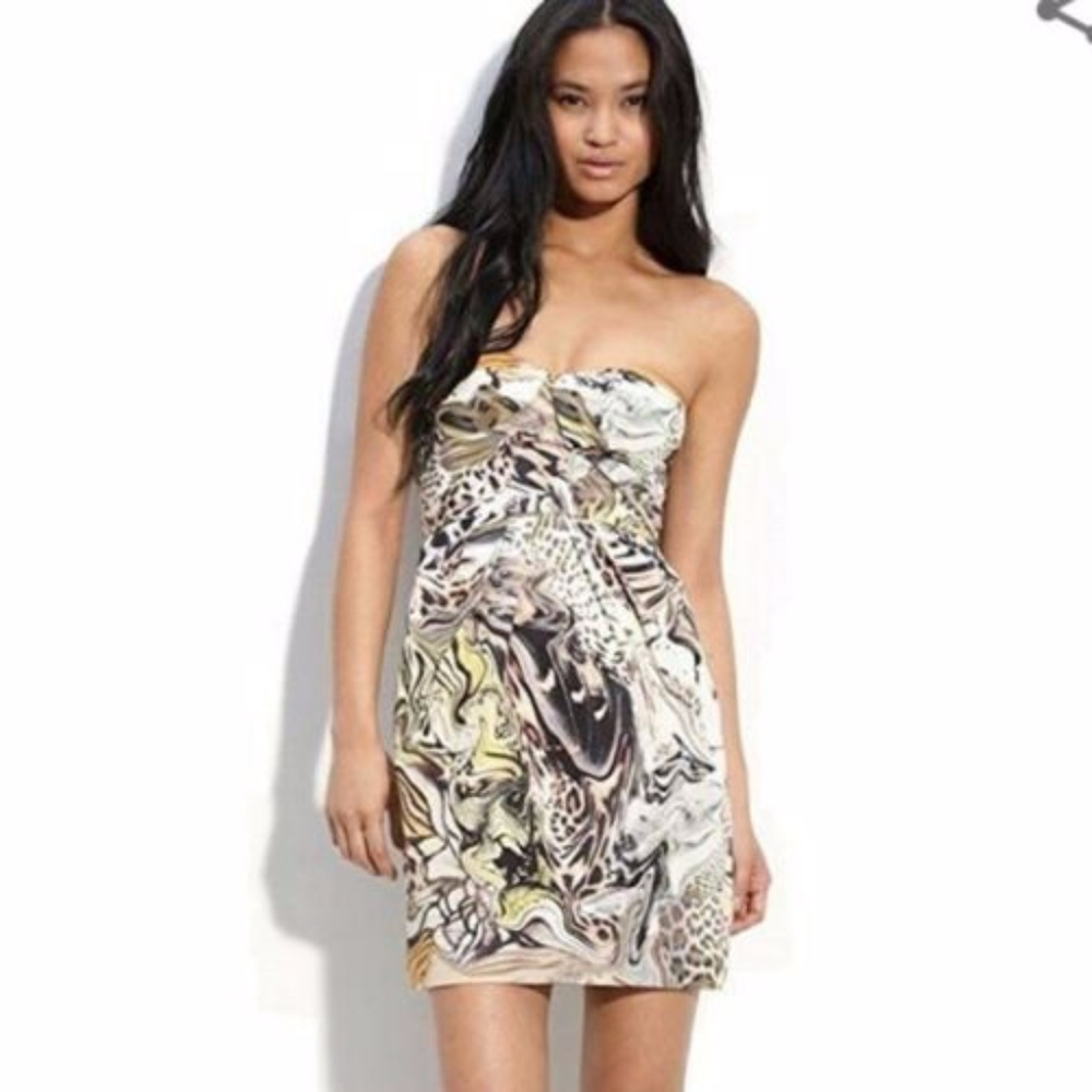 Anthropologie Leifsdottir Corset Panthers Dress